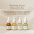 BEAUTY OF JOSEON Hanbang Serum Discovery Kit